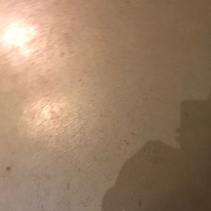 Meet your Posher, Noah